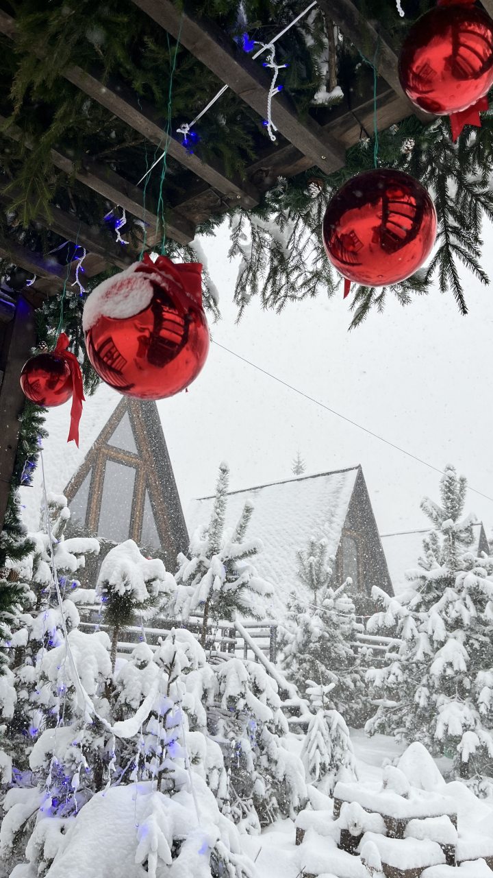 Шале (Большой дом с видом на лес), Гостевой дом Рай в шалаше в Светлом
