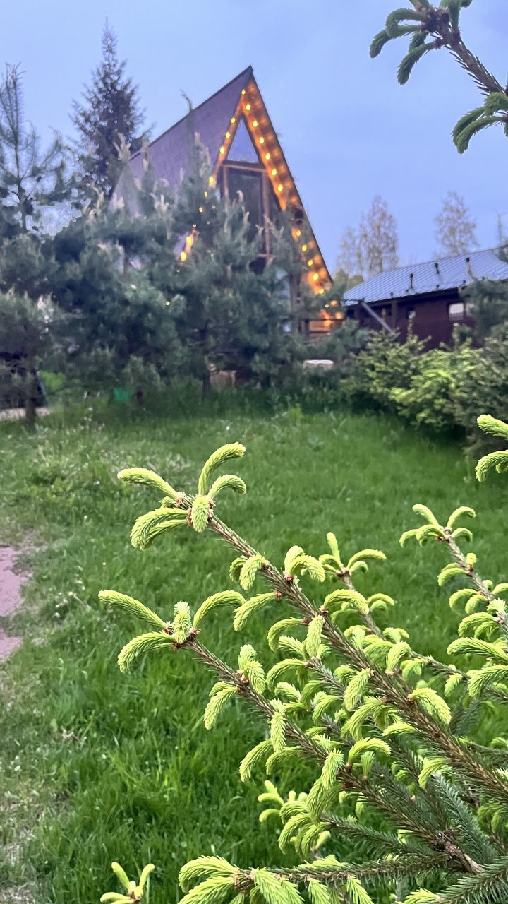 Шале (Шале 2 все оттенки красного), Гостевой дом Рай в шалаше в Светлом