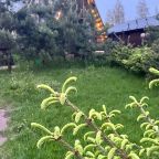 Шале (Шале 2 все оттенки красного), Гостевой дом Рай в шалаше в Светлом
