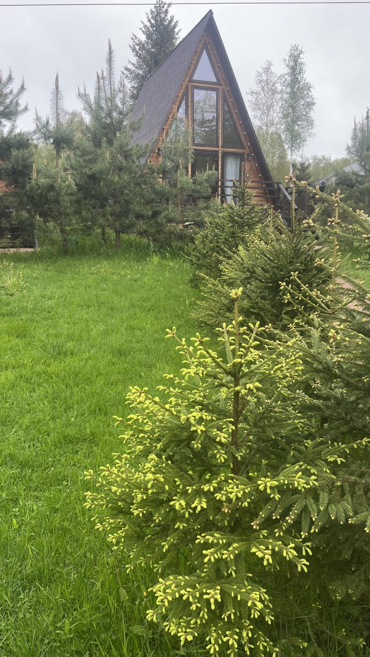 Шале (Шале 2 все оттенки красного), Гостевой дом Рай в шалаше в Светлом