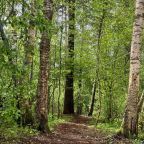 Шале (Шале 3), Гостевой дом Рай в шалаше в Светлом