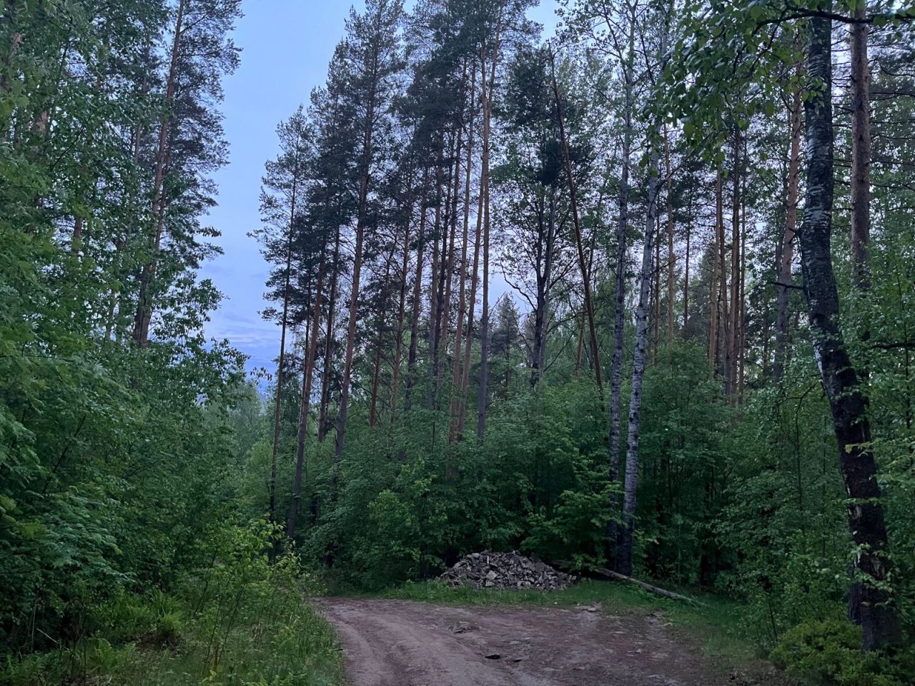 Шале (Шале 4), Гостевой дом Рай в шалаше в Светлом