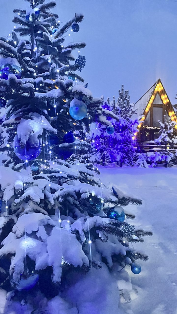 Шале (Шале 4), Гостевой дом Рай в шалаше в Светлом