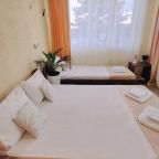 Апартаменты (Трехкомнатный 9ти местный номер), Парк-Отель Благовещенка