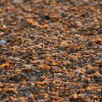 Общественный пляж, Парк-Отель Благовещенка