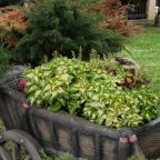 Своя ухоженная территория, Парк-Отель Благовещенка