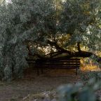 Своя ухоженная территория, Парк-Отель Благовещенка