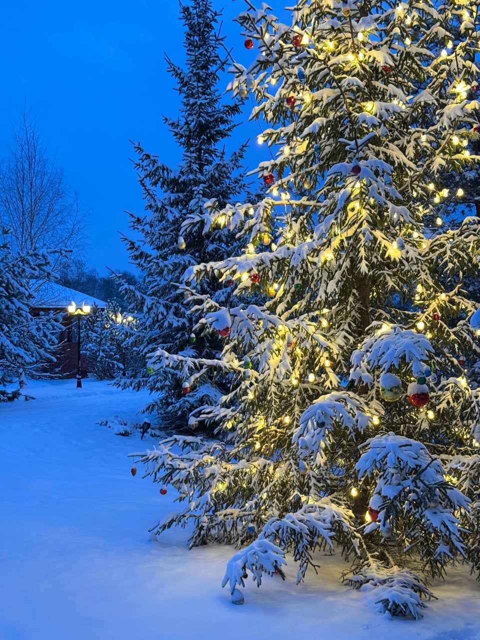 Коттедж (Shanti Home 6), Гостевой дом Шанти