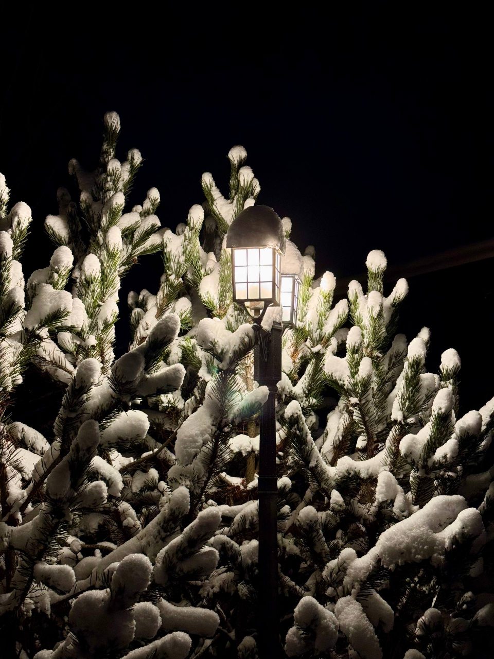 Коттедж (Shanti Home 6), Гостевой дом Шанти