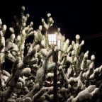 Коттедж (Shanti Home 6), Гостевой дом Шанти