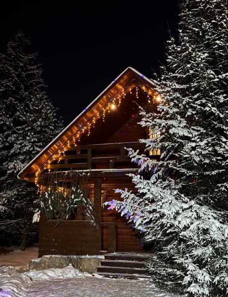 Фотография номера базы отдыха Эко-отель Шанти