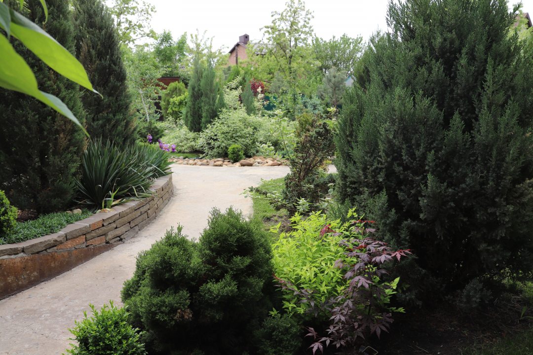 Pinebrook Сад