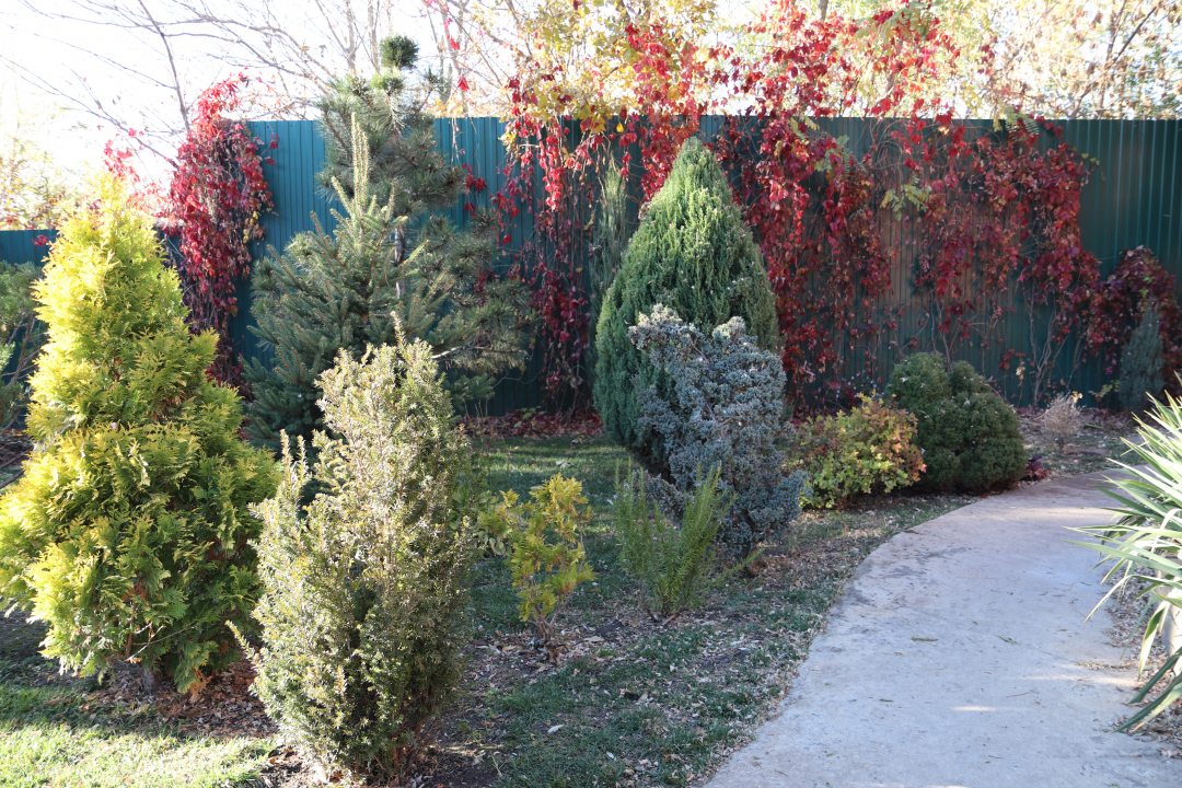 Pinebrook Сад