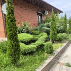 Настольный теннис, Загородный дом-шале Pinebrook