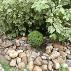 Настольный теннис, Загородный дом-шале Pinebrook