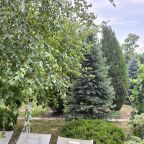 Настольный теннис, Загородный дом-шале Pinebrook