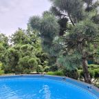 Настольный теннис, Загородный дом-шале Pinebrook