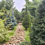 Настольный теннис, Загородный дом-шале Pinebrook