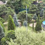 Настольный теннис, Загородный дом-шале Pinebrook