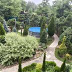 Настольный теннис, Загородный дом-шале Pinebrook