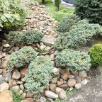 Настольный теннис, Загородный дом-шале Pinebrook