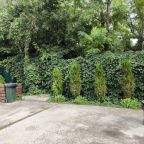 Настольный теннис, Загородный дом-шале Pinebrook