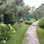 Настольный теннис, Загородный дом-шале Pinebrook