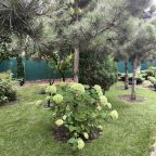 Настольный теннис, Загородный дом-шале Pinebrook