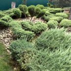 Настольный теннис, Загородный дом-шале Pinebrook