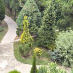 Настольный теннис, Загородный дом-шале Pinebrook