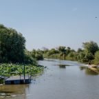 Первая береговая линия, База отдыха Золотой лотос