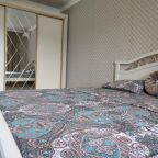 Люкс (Новые апартаменты в ЦЕНТРЕ города), Новые апартаменты в ЦЕНТРЕ города