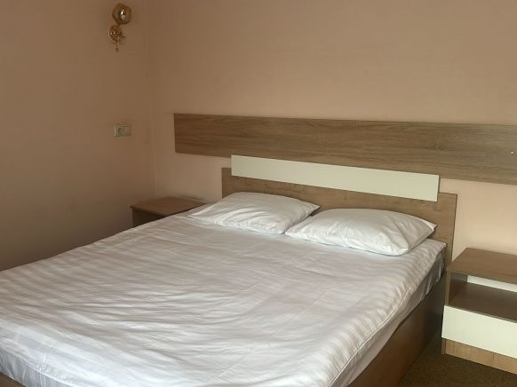 Фотография номера гостиницы Парк Отель Александровский