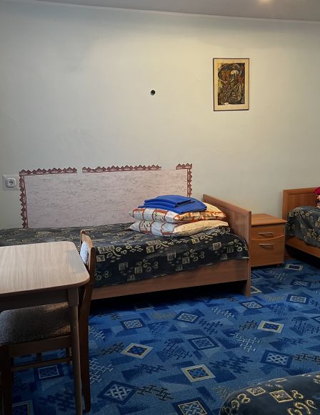 Фотография номера гостиницы Заря