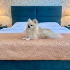 Допускается размещение домашних животных, Отель Вятские улочки Север