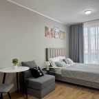 Апартаменты (Студия 22 кв м с доп), Апартаменты Старт на Толубеевском проезде