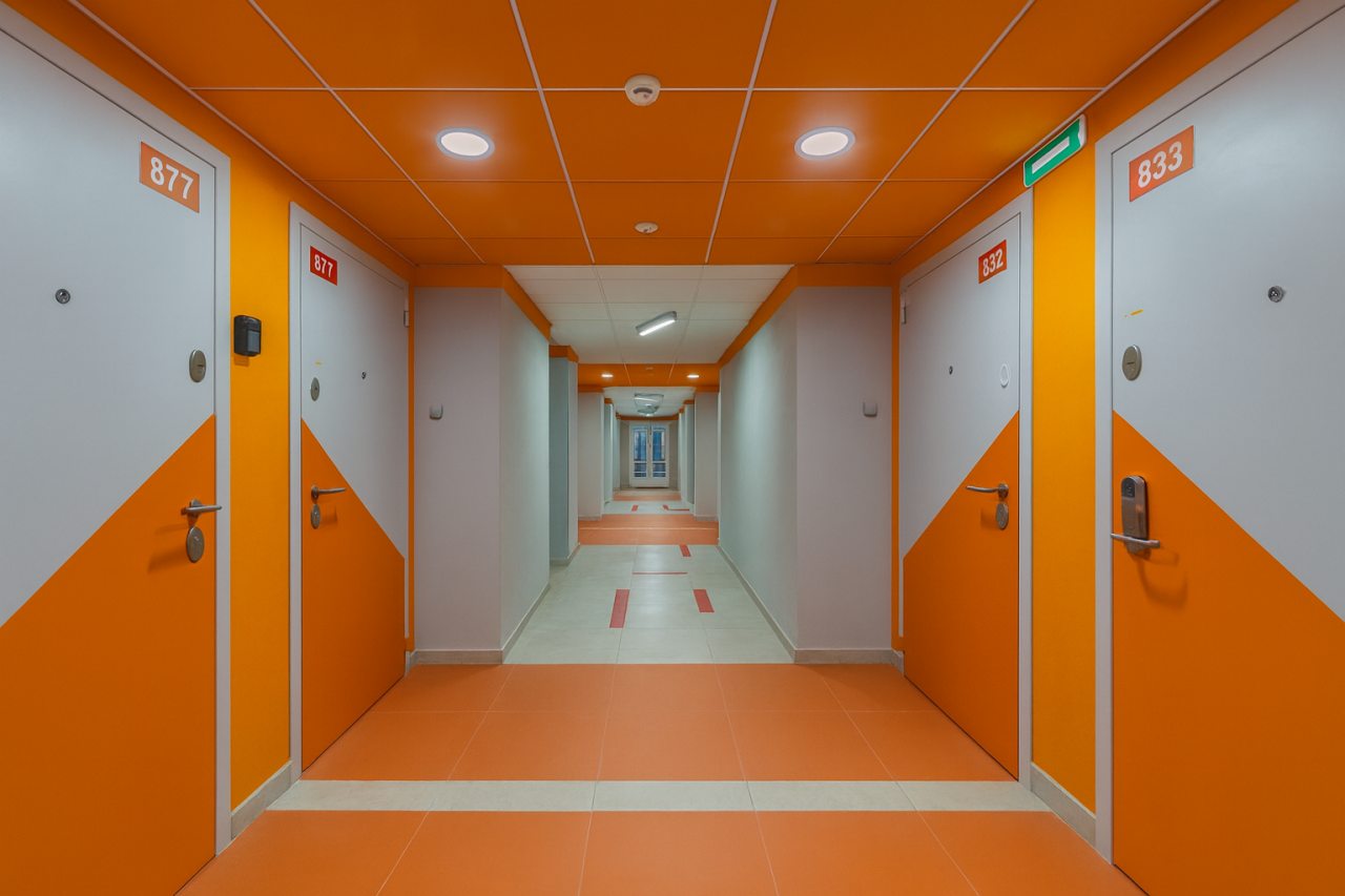 Сьюит (Бизнес), Апартаменты Старт на Толубеевском проезде