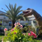 Своя ухоженная территория, Отель Sea Family Resort & Spa