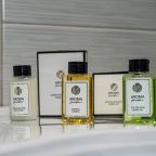 Люкс, Отель Тор