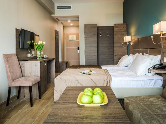 Фотография номера гостиницы ЛОО-АРЕНА