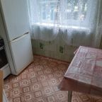 Возможность самостоятельного приготовления пищи, Апартаменты Гагарина 7 линия 8