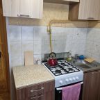 Квартира (Двухкомнатная Гагарина 2 линия 9), 2-х комнатные апартаменты пр. Гагарина 2 линия 9