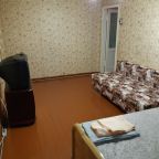 Квартира (Двухкомнатная квартира Гагарина 1 линия 9), 2-х комнатные апартаменты пр. Гагарина 1 линия 9