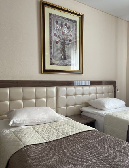 Гостиница Shalapin Hotel