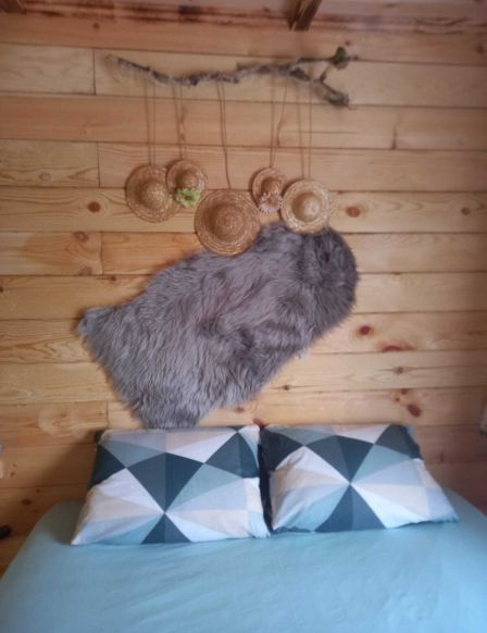 Фотография номера гостевого дома Усадьба Добрыня