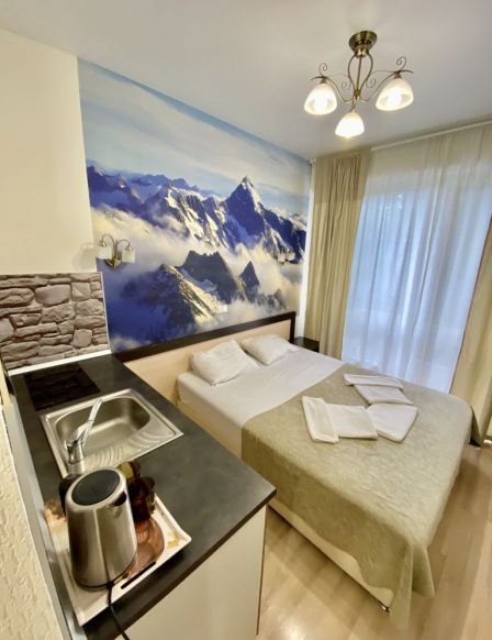 Фотография номера апарт отеля Оплот