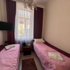 Двухместный (Номер Эконом- мини с 2-мя раздельными кроватями (мини с/у)), Гостиница Аллюр