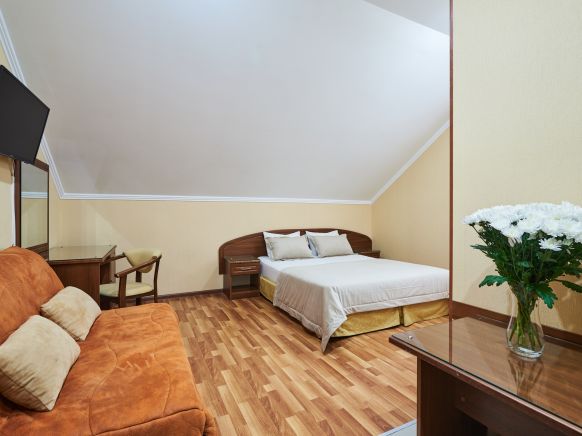 Фотография номера гостиницы Аркадия +