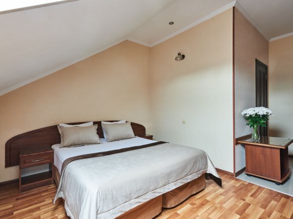 Фотография номера гостиницы Аркадия +