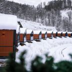 Коттедж, Глэмпинг Эндемик